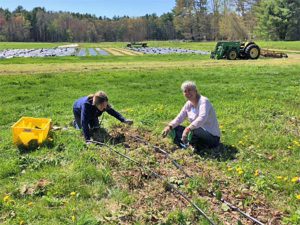 Regenerative farming